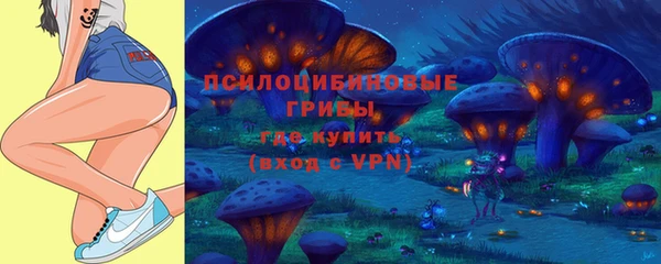 СК Балахна