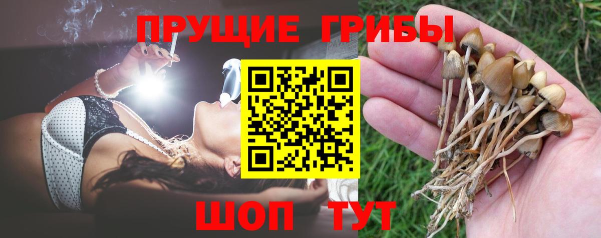 Псилоцибиновые грибы Magic Shrooms Семилуки